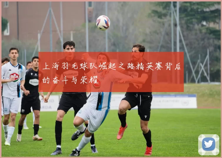 上海羽毛球队崛起之路精英赛背后的奋斗与荣耀
