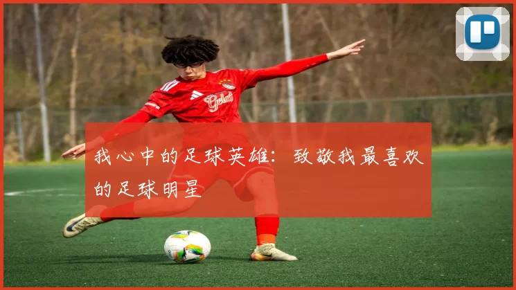 我心中的足球英雄：致敬我最喜欢的足球明星