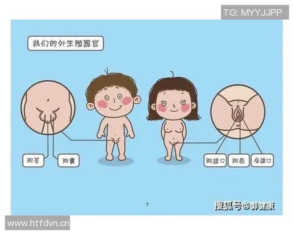 球袜的舒适性与功能性对运动表现的影响及其选择指南